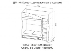 ДМ-16 Кровать двухъярусная с ящиком в Губкинском - gubkinskij.магазин96.com | фото