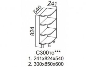 С300то Стол-рабочий 300 (торцевой открытый) в Губкинском - gubkinskij.магазин96.com | фото