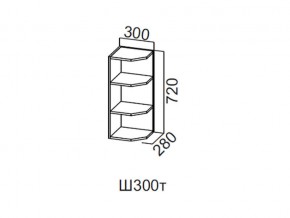 Ш300т/720 Шкаф навесной 300/720 (торцевой) в Губкинском - gubkinskij.магазин96.com | фото