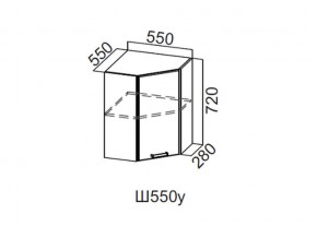 Ш550у/720 Шкаф навесной 550/720 (угловой) в Губкинском - gubkinskij.магазин96.com | фото