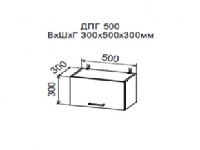 Шкаф верхний ДПГ500 горизонтальный в Губкинском - gubkinskij.магазин96.com | фото