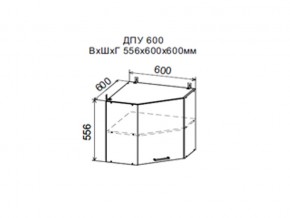 Шкаф верхний ДПУ600 угловой в Губкинском - gubkinskij.магазин96.com | фото